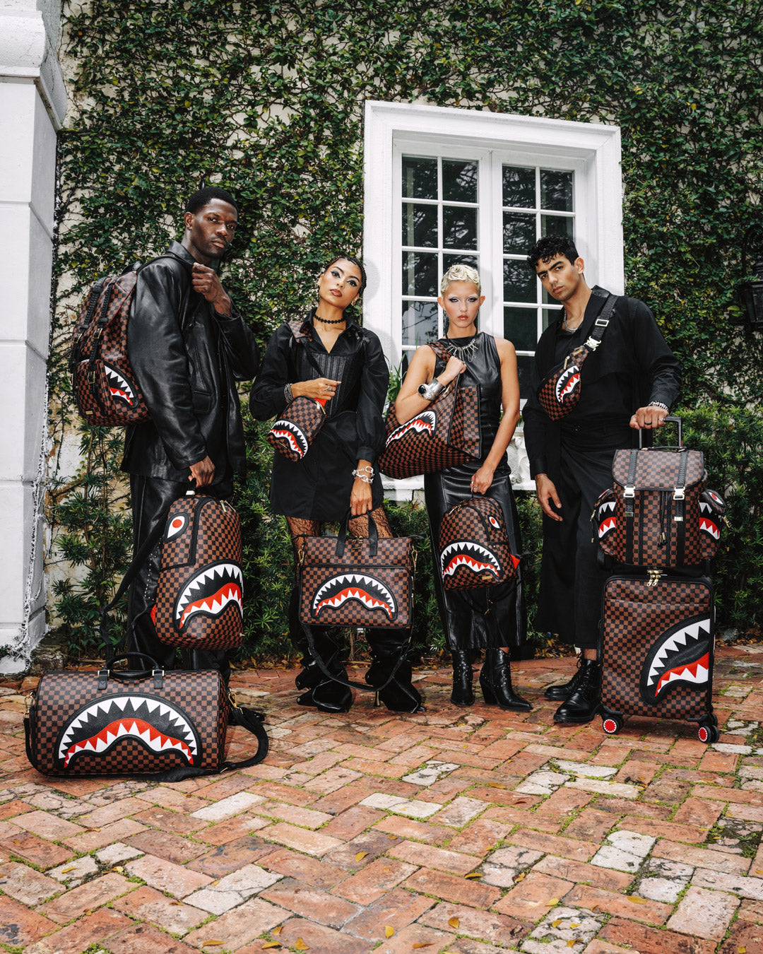 SAWTOOTH SHARKS IN PARIS HILLS BACKPACK
